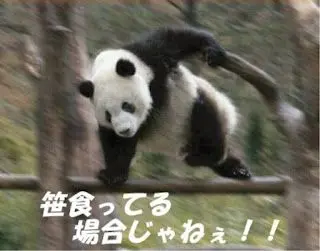 フェリーの時刻表