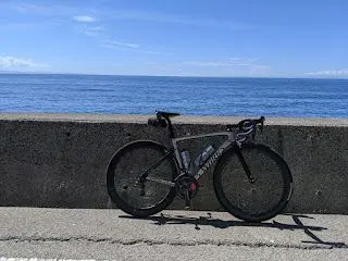 海は綺麗だったがひたすら海だったので食傷気味